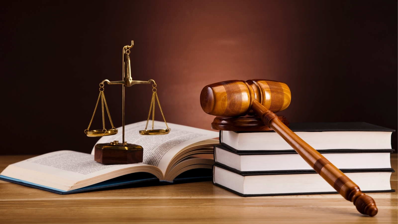 ngành Luật 1 ngành Luật 1