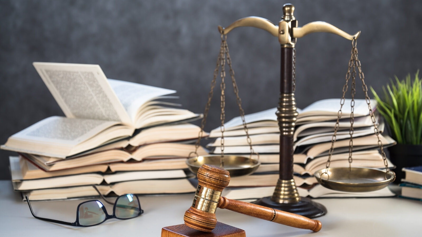 ngành Luật kinh tế